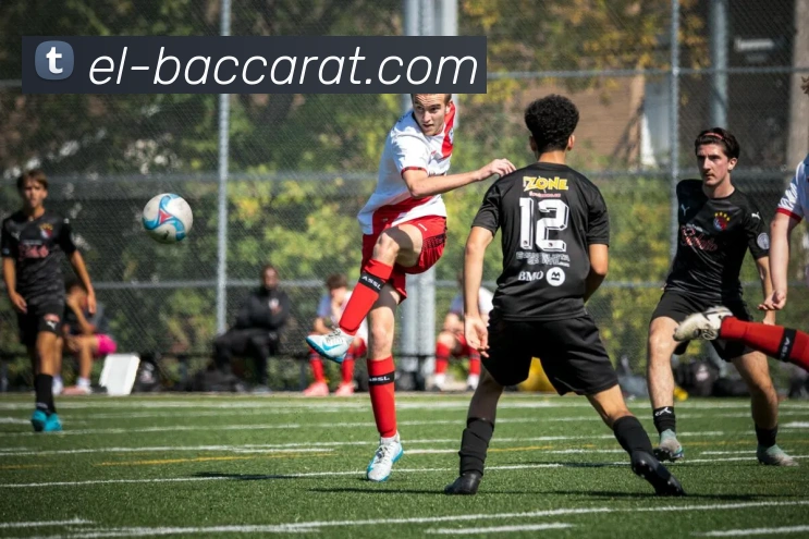 百家乐官网APP 封面图